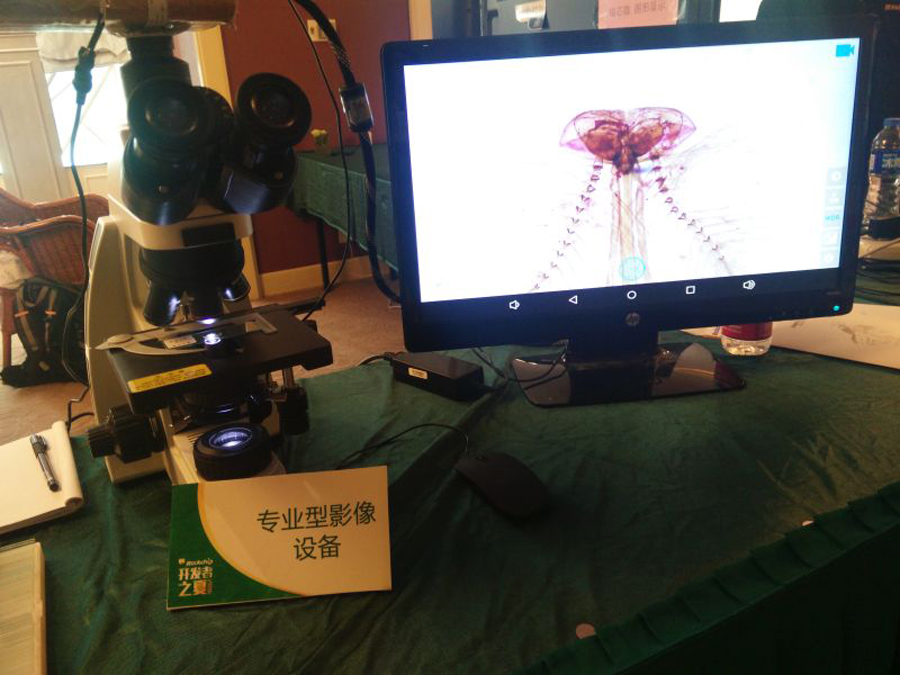 PG平台